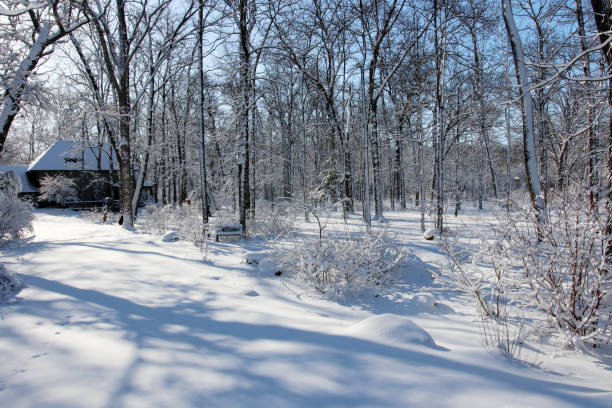istock Beautiful winter rural landscape. 999763028