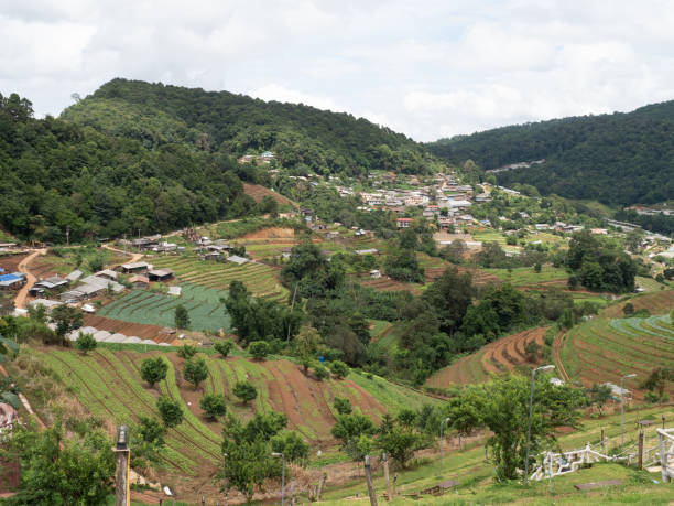 istock Step farm in Changmai, Thailand 999764662