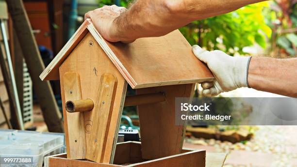 Hobbies And Activities Stock Photo - Download Image Now - Birdhouse, Building - Activity, Construction Industry