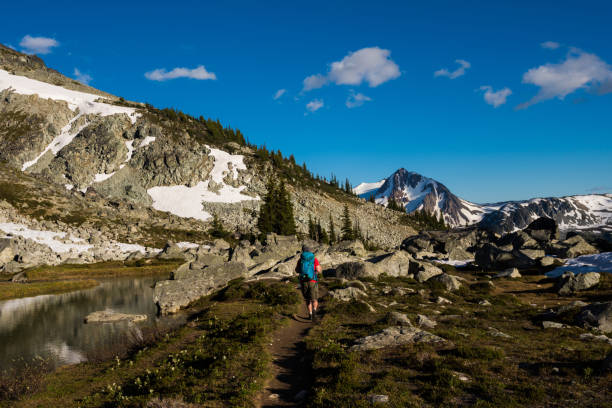 istock Hiking in the alpine 999794782
