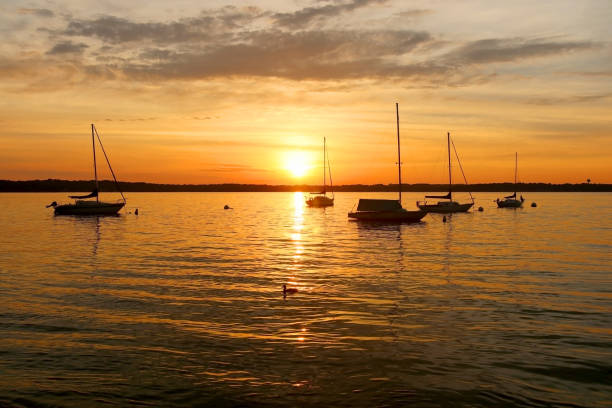 istock Yachts drifting on the lake during beautiful summer sunset. 999799824