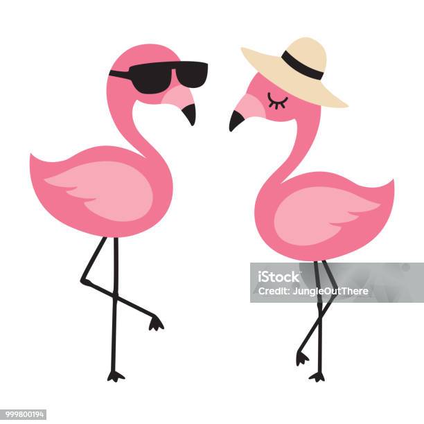 Ilustración de Flamingo Usar Sombrero Y Gafas De Sol En Verano y más Vectores Libres de Derechos de Flamenco - Ave de agua dulce - Flamenco - Ave de agua dulce, Vector, Gafas de sol