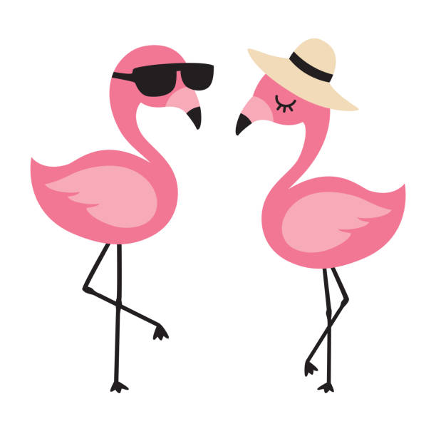 Flamingo Wearing Sunglasses and Hat in Summer Vector illustration of cute flamingos wearing sunglasses and sun hat in summer. flamingo stock illustrations