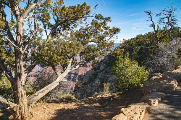 istock Grand Canyon National Park, USA 999802426
