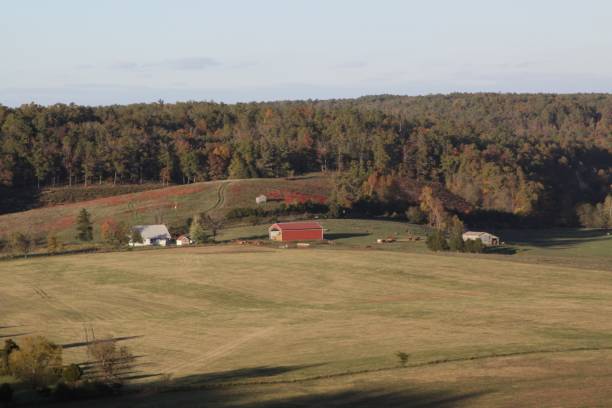 istock Farm Land in Arkansas 999808184