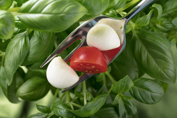 bolas de queso mozzarella mini, tomates cherry y albahaca verde. - 6134 fotografías e imágenes de stock