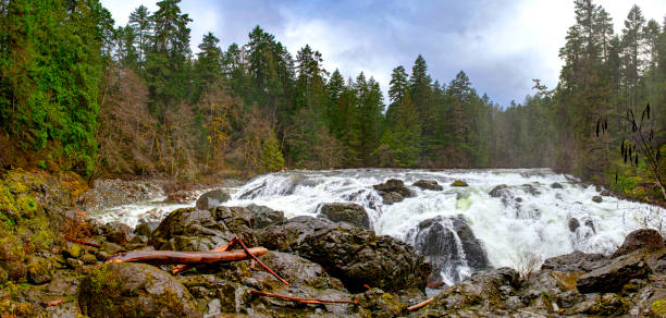 panorama de inglês river falls cachoeiras superiores em vancouver island - englishman river falls - fotografias e filmes do acervo