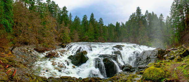 panorama anglika river falls górne wodospady w vancouver island - englishman river falls zdjęcia i obrazy z banku zdjęć