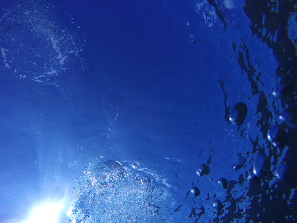 istock undersea view in ishigaki japan 999824520