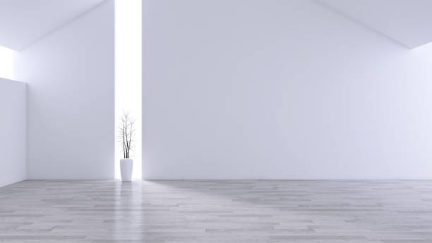 istock Spacious Modern and minimalis Living Room, black & white interior design  ,empty space ,3d rendering 999824552