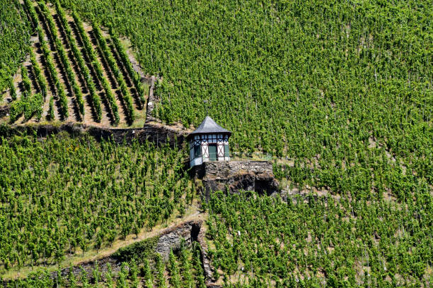 ベルンカステル ・ クース シュタット ・ デル ・ モーゼル - german culture germany vineyard village ストックフォトと画像