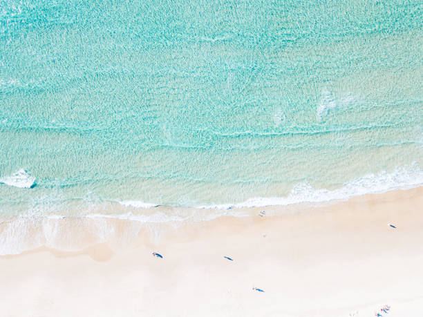 istock An aerial view of the beach 999831074