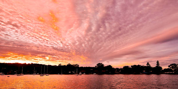 istock Pink Panoramic Sunrise Seascape Australia 999831286
