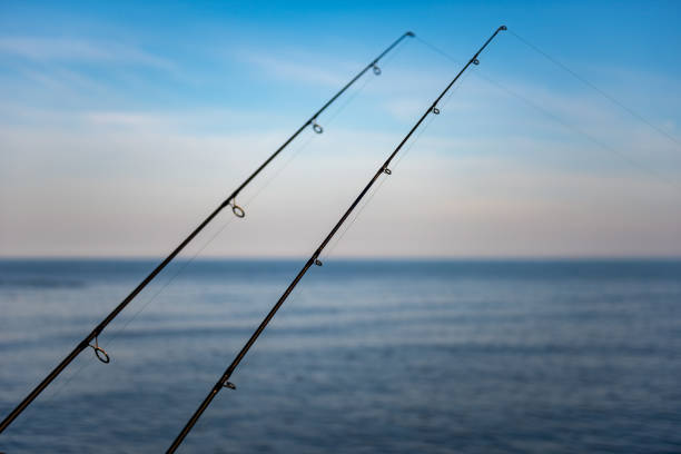 Fishing rods with lines into the North sea at Bridlington, Yorkshire Two fishing rods with lines dropped into the North sea at Bridlington, Yorkshire. east riding of yorkshire photos stock pictures, royalty-free photos & images