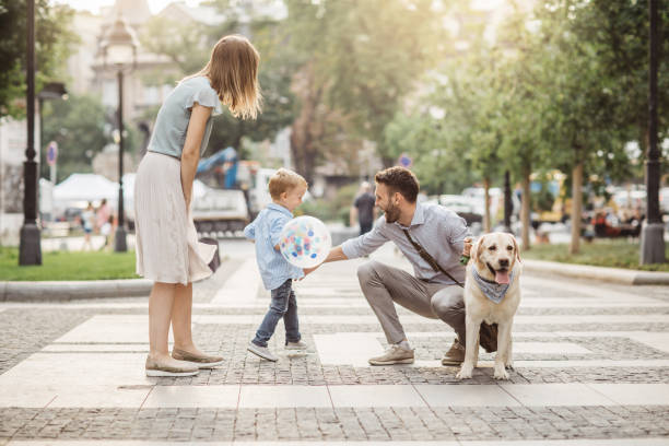 istock Family walking dog 999849188