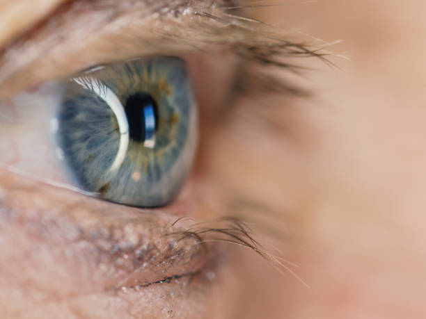 человеческий глаз. - reflection women human eye macro ст�оковые фото и изображения