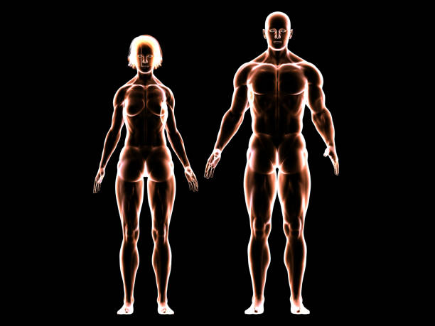 istock Muscular Couple's Body Silhouette 999859144