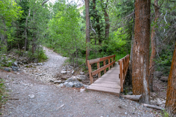 istock Foot bridge on trail in Provo 999859810
