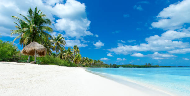 istock beach and tropical sea 999862106