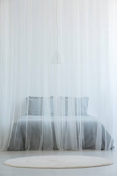istock Mosquito net bed with grey bedding standing in white room interior with round rug on the floor 999868322