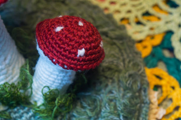 istock Handmade knitted toy mushroom isolated on white 999876378