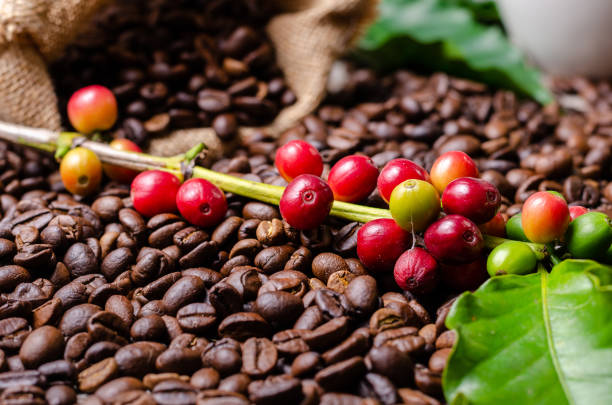 istock Roasted coffee beans with red ripe coffee cherries and leaves 999879790