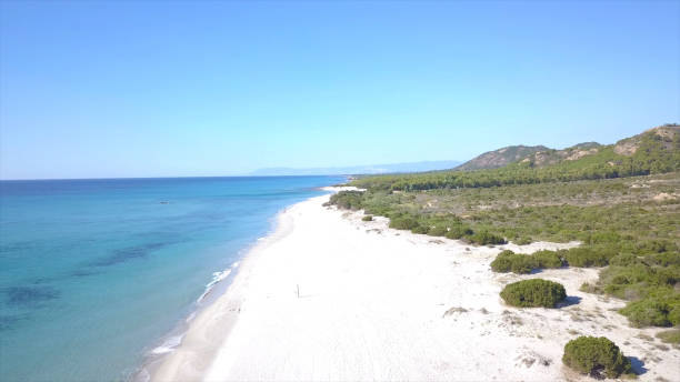 istock white beach aerial view shot in Sardinia 999879796