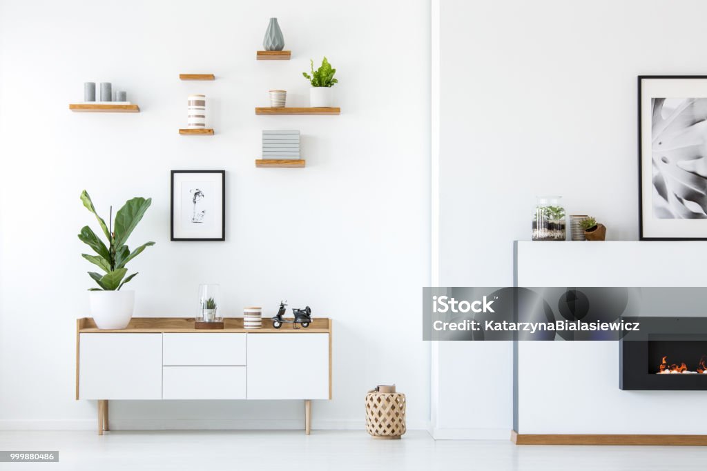 Planter sur armoire blanche en bois en intérieur d’appartement avec cheminée et affiches. Vraie photo - Photo de Mur libre de droits