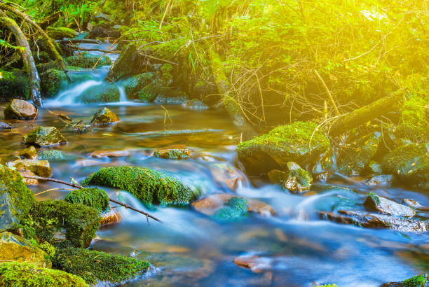 istock small brook rushing through a mountain canyon 999899888
