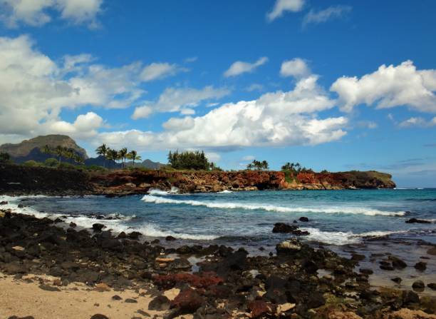 istock Kauai Hawaii Cove 999904620