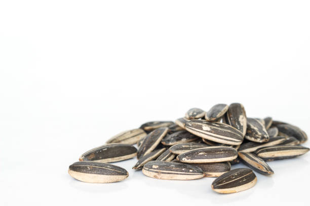 sunflower seeds for planting on white background