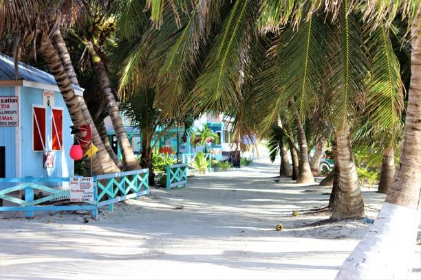 istock Sandy streets of Caye Caulker, Belize 999910254