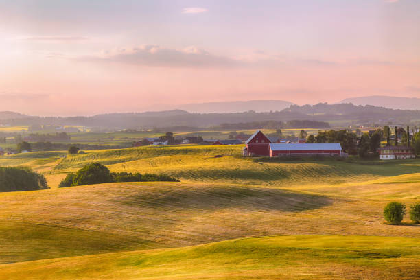 istock Agricultural area Byneset 999910982