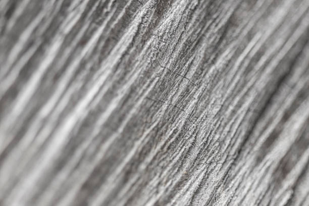 istock Extreme close-up wood detail 999916924