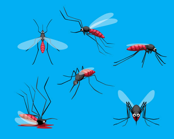 Dead Mosquito Illustrations, Royalty-Free Vector Graphics & Clip Art -  iStock