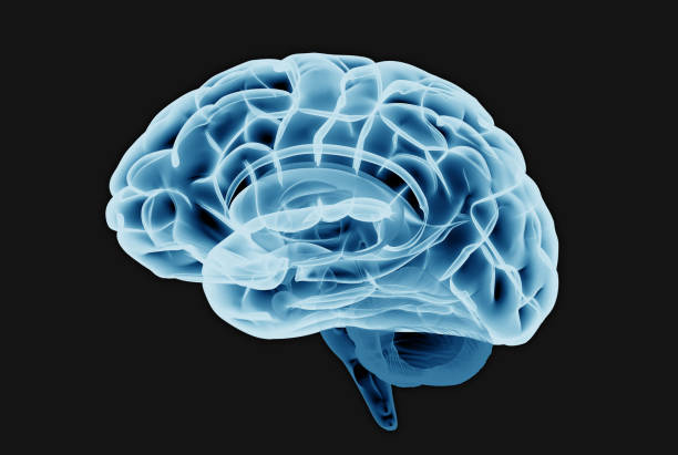 istock Brain scan illustration isolated on dark BG 999932260
