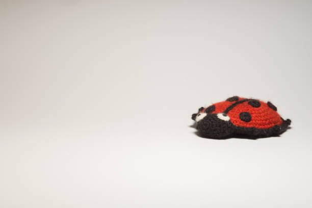 istock Handmade knitting wool toy ladybug isolated on white background 999935426
