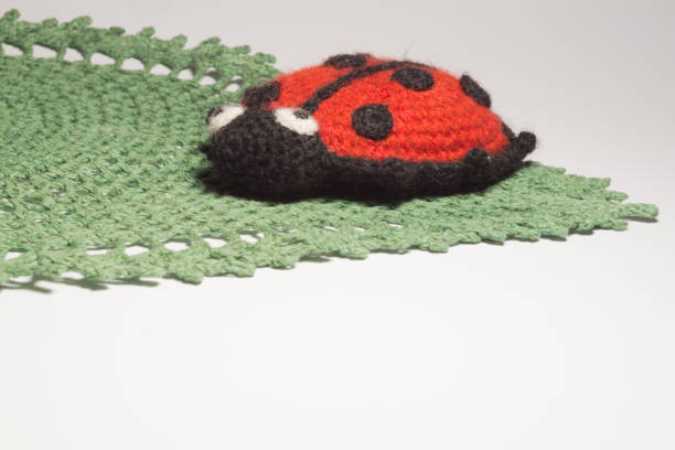 istock Handmade knitting wool toy ladybug isolated on white background 999935476