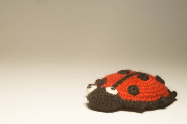 istock Handmade knitting wool toy ladybug isolated on white background 999935616