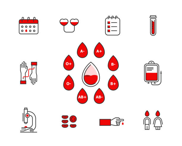 ikona wektora krwiodawstwa ustawiona na białym tle . ilustracja koncepcyjna transfuzji krwi. elementy ingraficzne dawcy z grupami krwi. ikony linii bankowej dawcy edytowalny udar mózgu. - human cardiovascular system heart shape human hand healthy lifestyle stock illustrations