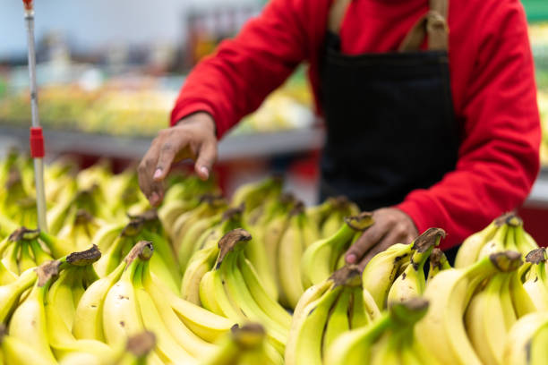 istock Supermarket Employee Choosing Bananas 999966018