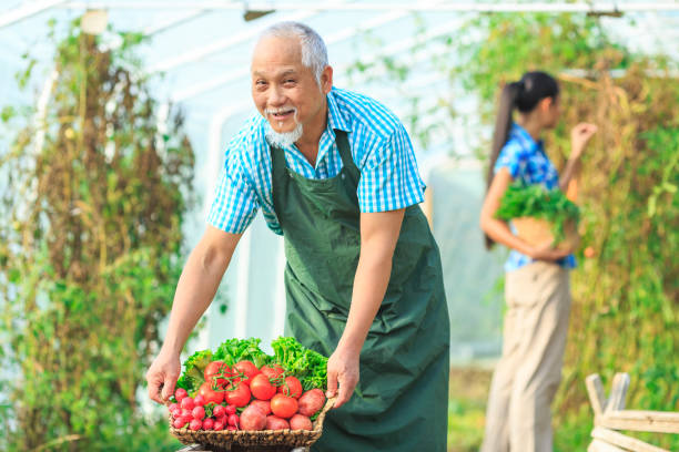 istock Family harvesting vegetables from garden 999969350