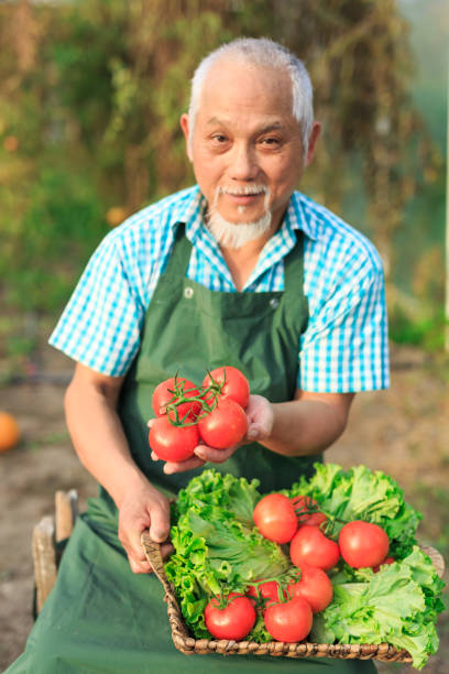 istock Mature farmer holding basket with vegetables 999969358
