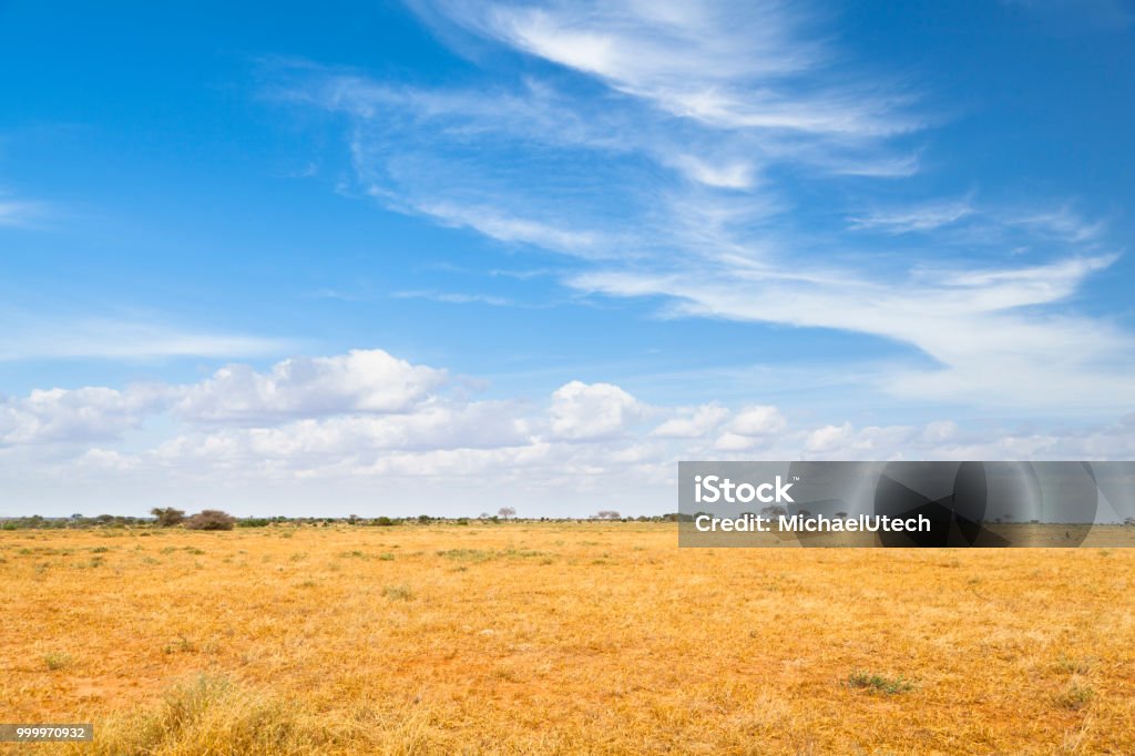 Paisaje del este de Tsavo en Kenia - Foto de stock de Sabana - Paisaje bioclimático libre de derechos