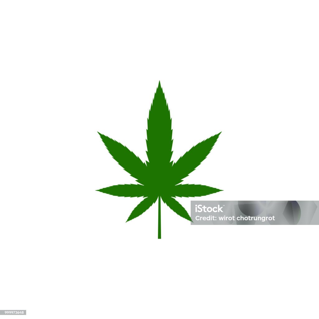 Vector illustration, green leaf marijuana, Seven leafs, Cannabis sativa forma indica, Cannabidaceae on white background Abstract stock vector