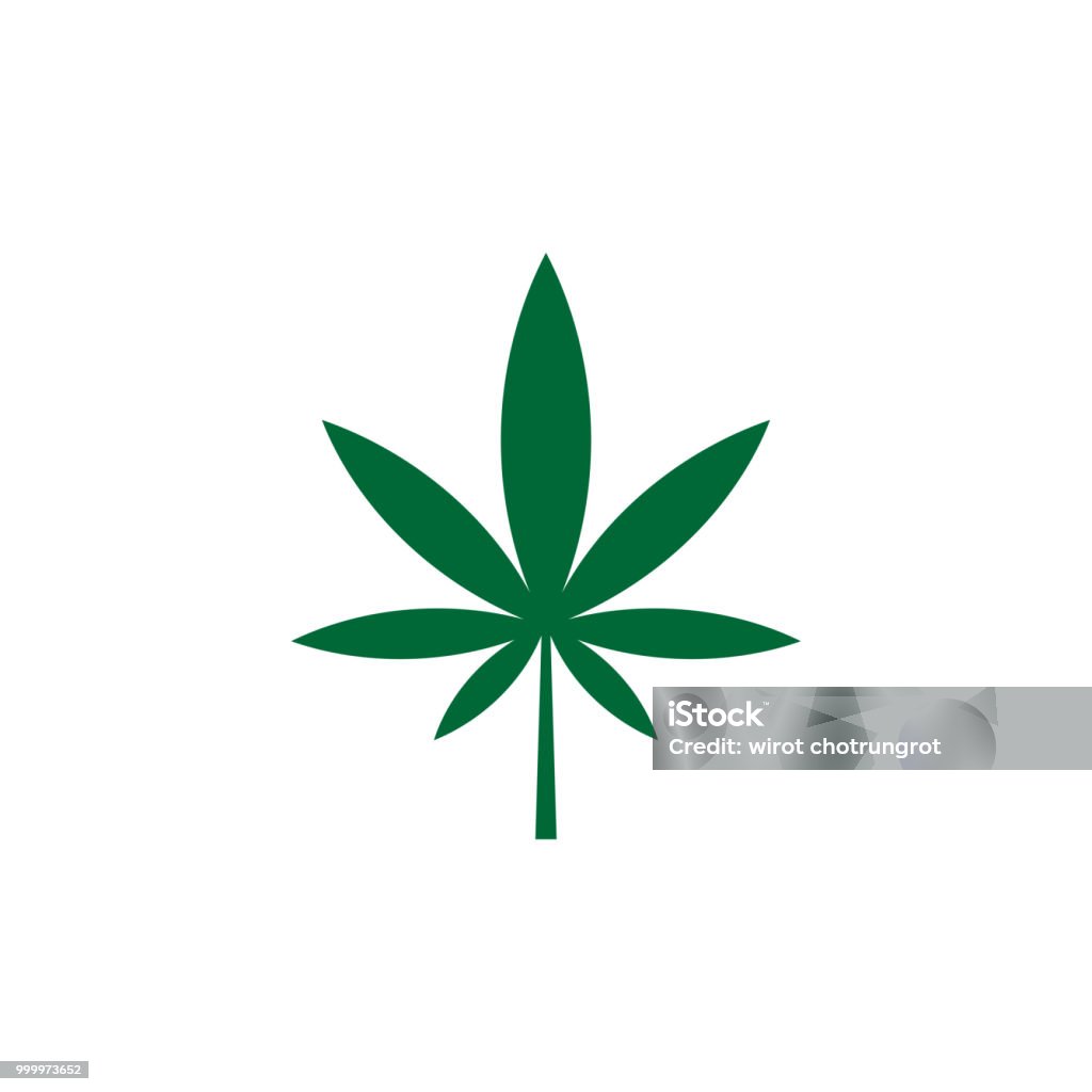 Vector illustration, green leaf marijuana, Seven leafs, Cannabis sativa forma indica, Cannabidaceae on white background Abstract stock vector