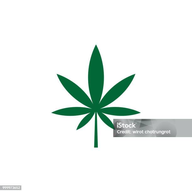 Vector Illustration Green Leaf Marijuana Seven Leafs Cannabis Sativa Forma Indica Cannabidaceae On White Background Stock Illustration - Download Image Now
