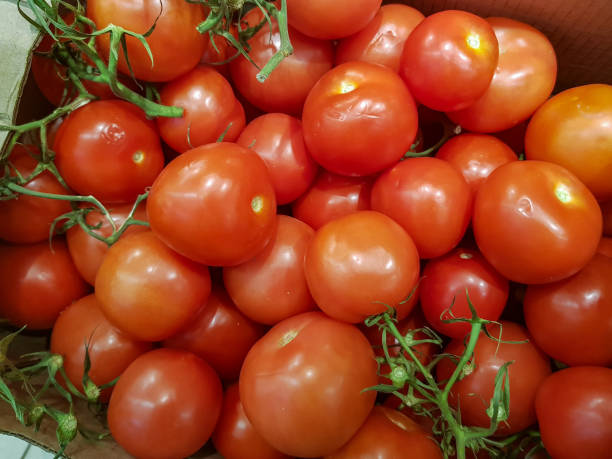istock Heap of red tomatoes 999975404