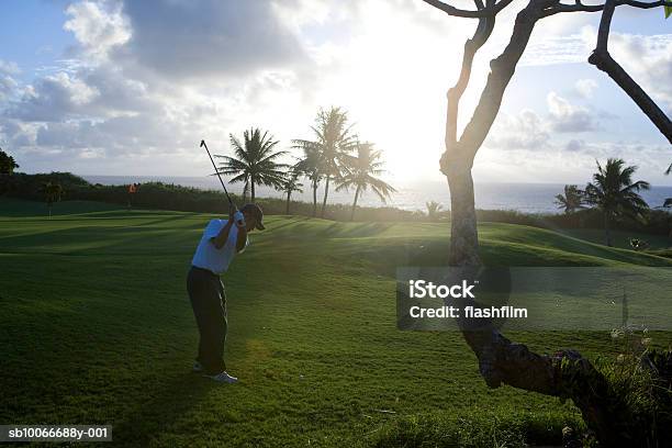 Man On Golf Course Playing Golf At Dawn Stock Photo - Download Image Now - Golf, Palm Tree, Sea