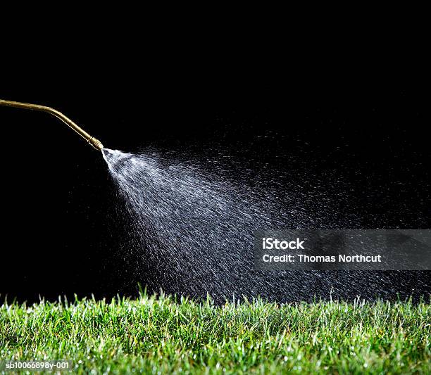 Hose Watering Grass On Black Background Stock Photo - Download Image Now - Spraying, Spray, Black Background